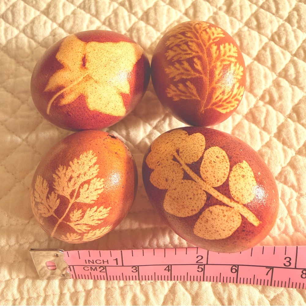 Onion Skin Dyed Eggs